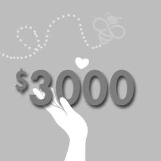 $3000 Donation