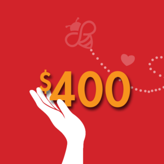 $400 Donation